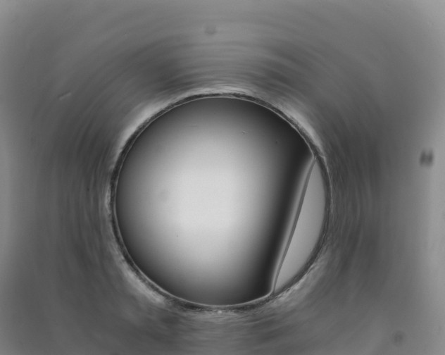 X0000091480797200708161147