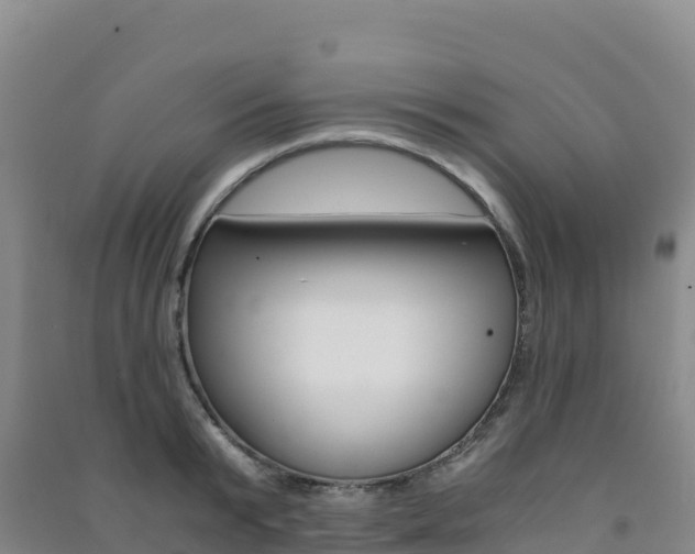 X0000091480799200708161147