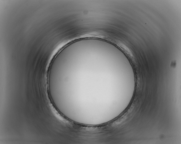 X0000091480800200708161147