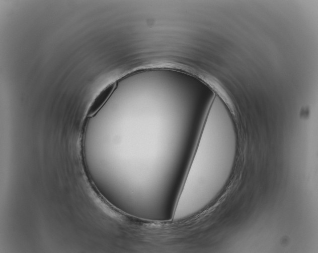 X0000091480805200708161147