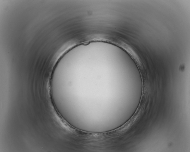 X0000091480806200708161147