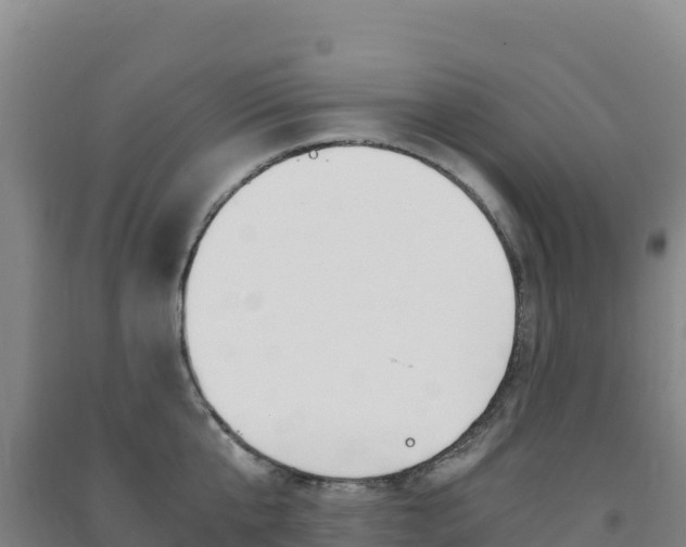 X0000091480807200708161147