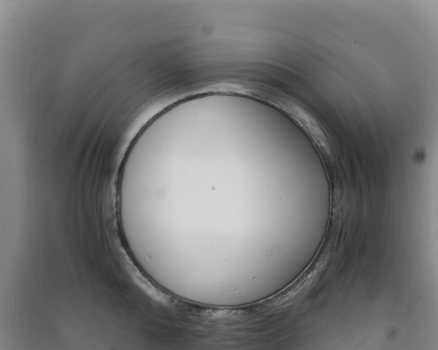 X0000091480808200708161147