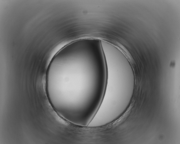 X0000091480812200708161147