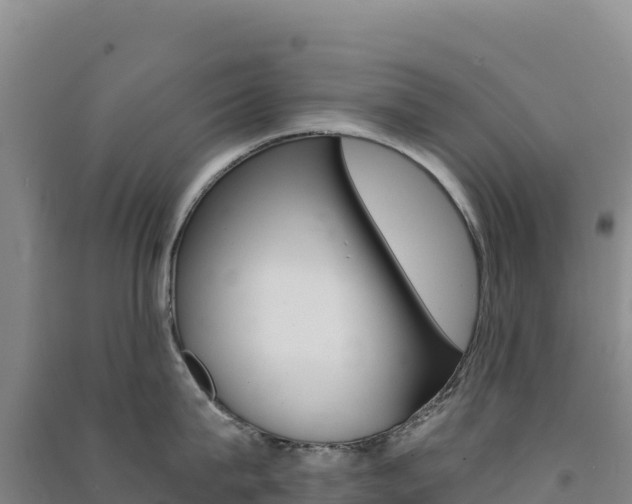 X0000091480815200708161147