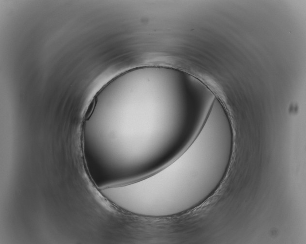 X0000091480816200708161147