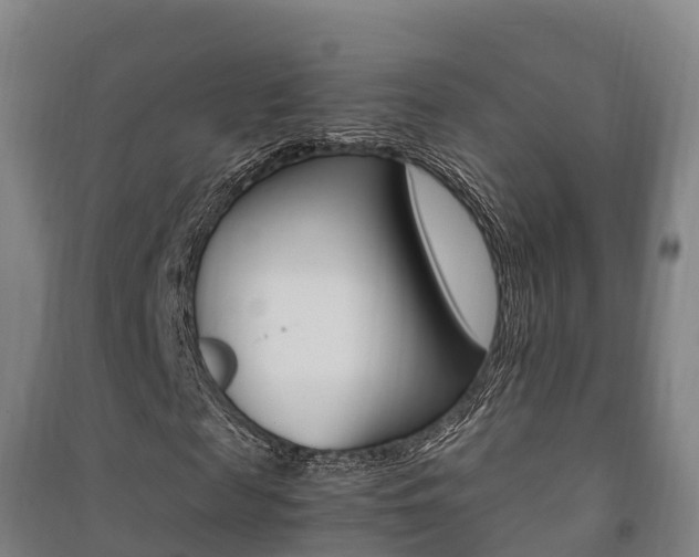 X0000091480817200708161146