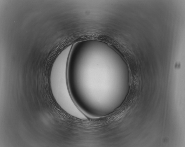 X0000091480818200708161146