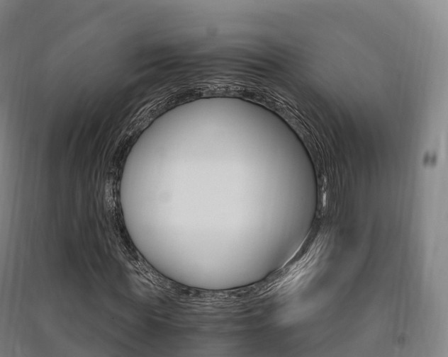 X0000091480819200708161146