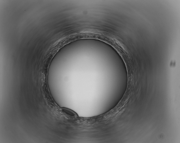 X0000091480821200708161146