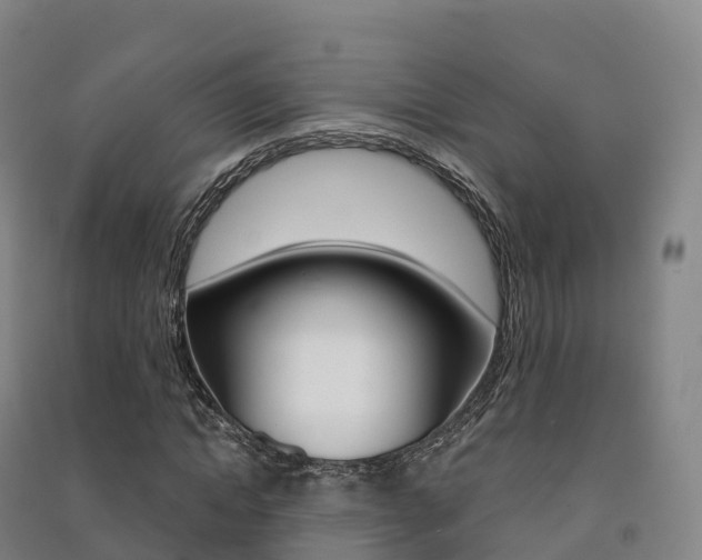 X0000091480822200708161146