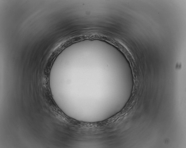 X0000091480823200708161146