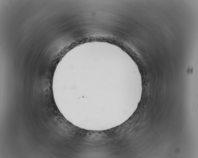 X0000091480824200708161146