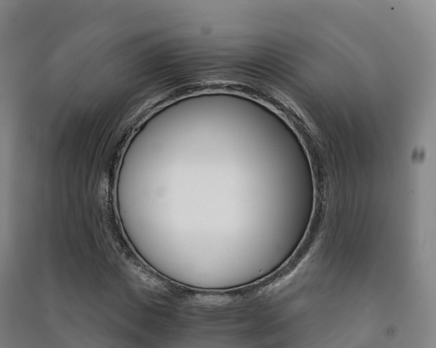 X0000091480825200708161146