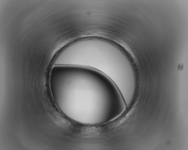 X0000091480826200708161146