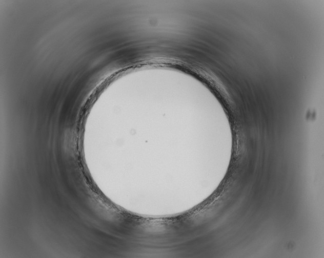 X0000091480828200708161146