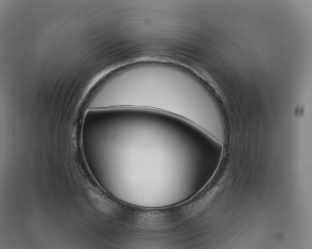X0000091480830200708161146