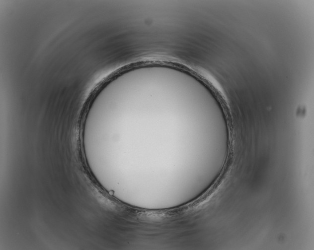 X0000091480831200708161146