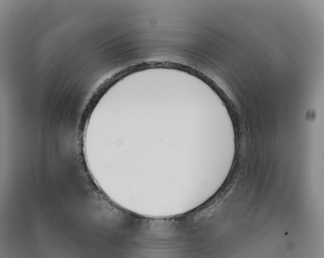 X0000091480832200708161146