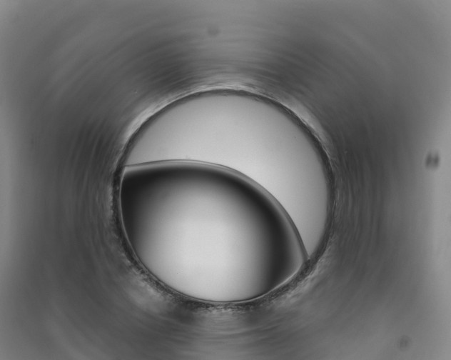 X0000091480834200708161146