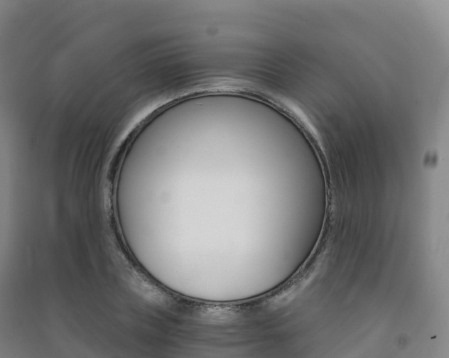 X0000091480835200708161146