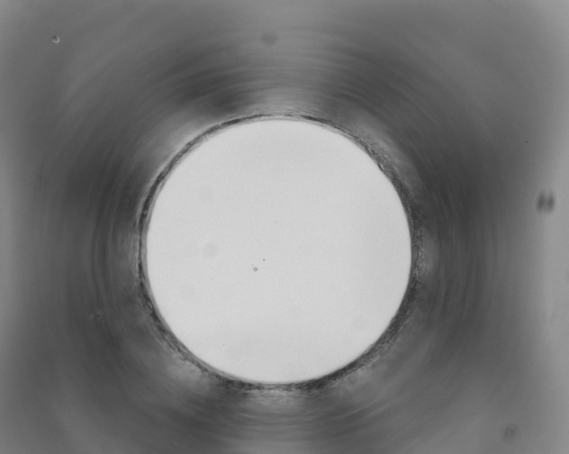 X0000091480836200708161146