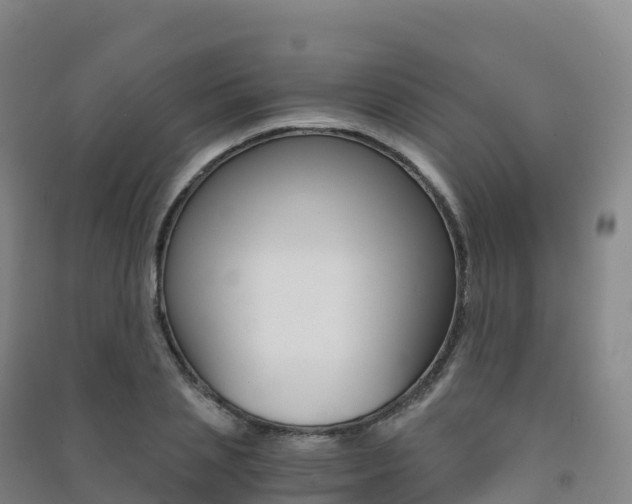 X0000091480837200708161146