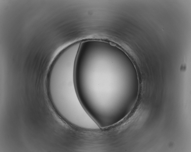 X0000091480838200708161146