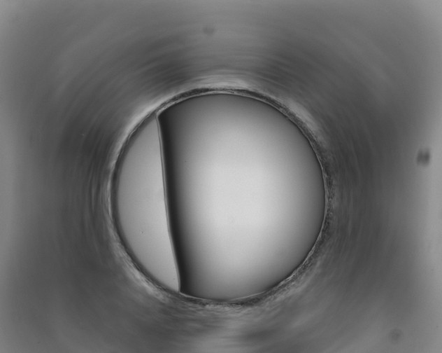 X0000091480840200708161146