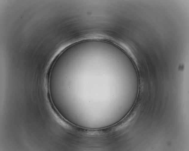 X0000091480843200708161147