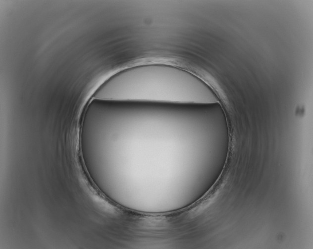 X0000091480844200708161147