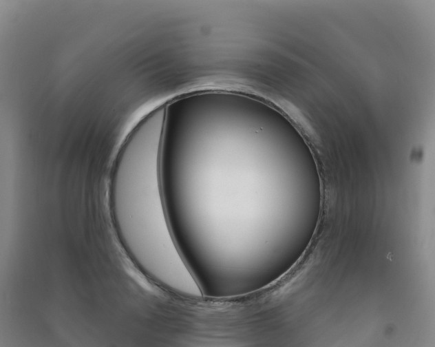 X0000091480846200708161147