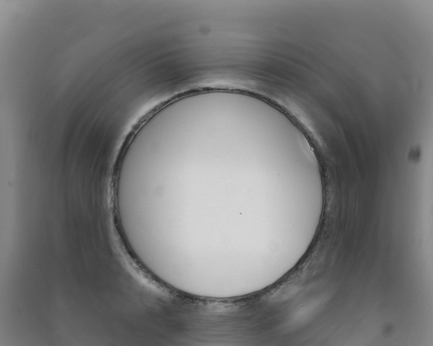 X0000091480848200708161147
