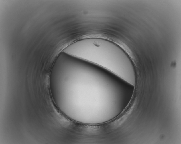 X0000091480849200708161147
