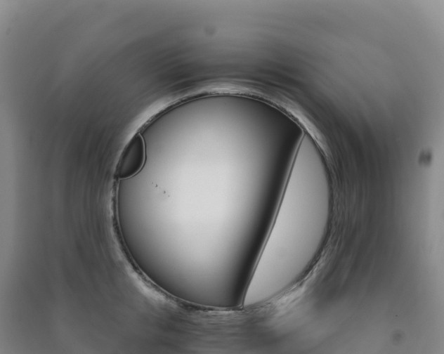 X0000091480853200708161147