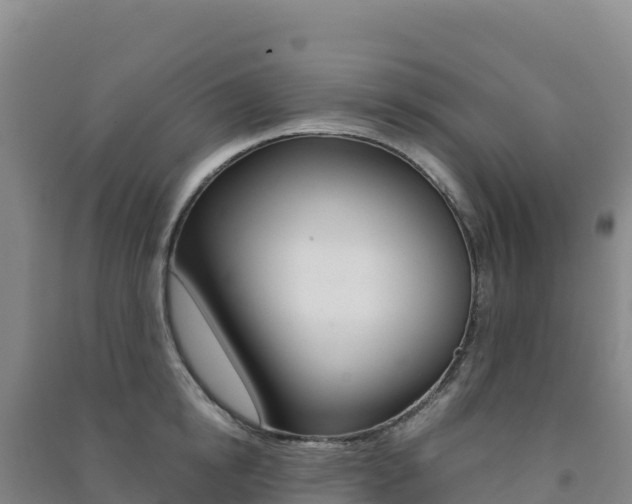 X0000091480854200708161147