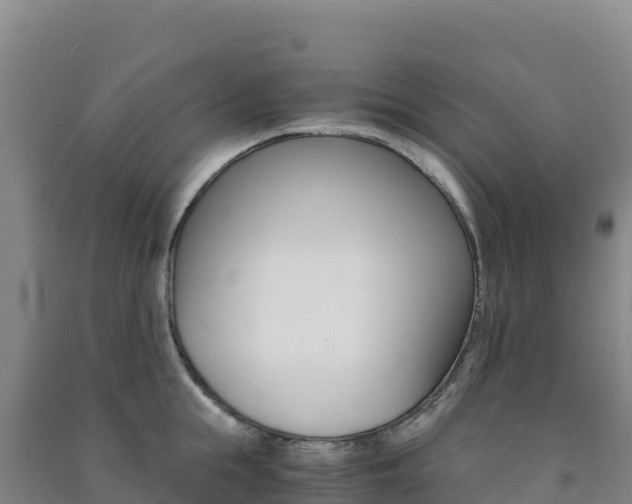 X0000091480855200708161147