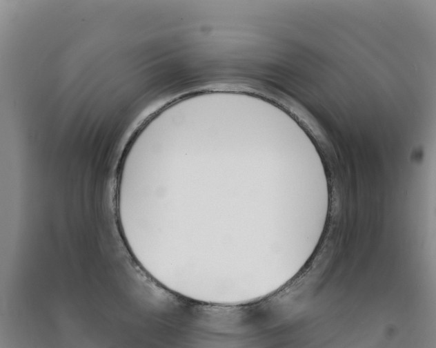 X0000091480856200708161147