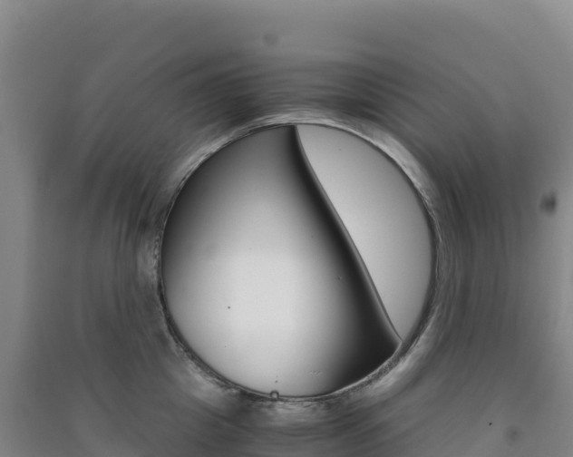 X0000091480857200708161147