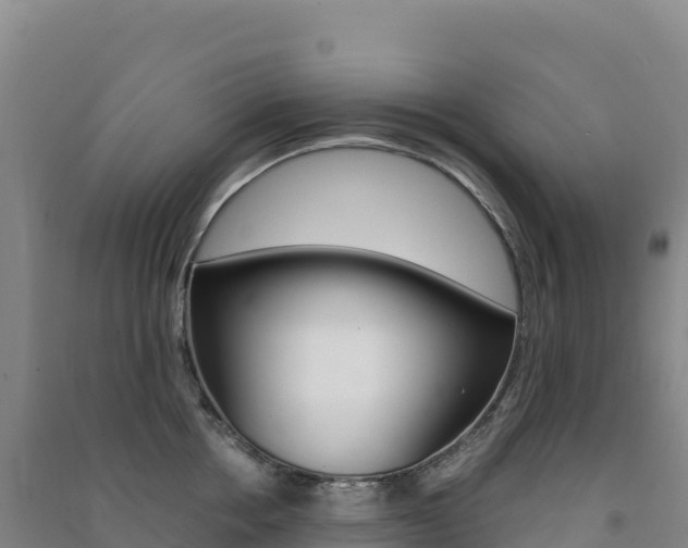 X0000091480858200708161147