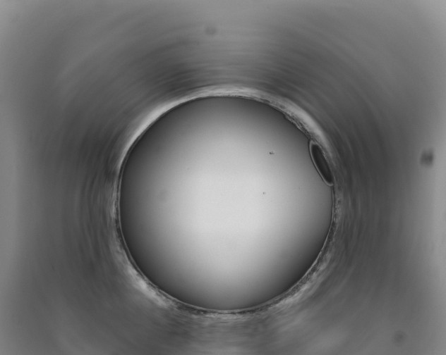 X0000091480860200708161147