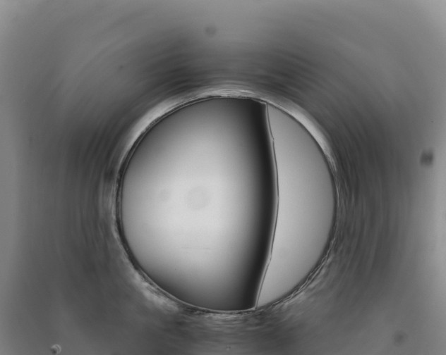 X0000091480861200708161147