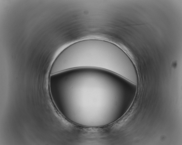 X0000091480862200708161147