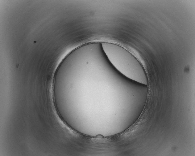 X0000091480863200708161147