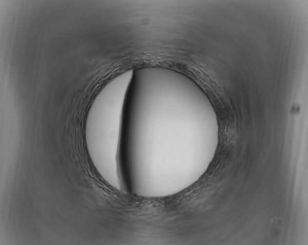 X0000091480865200708161146