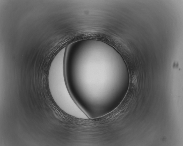 X0000091480868200708161146