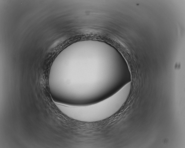 X0000091480869200708161146