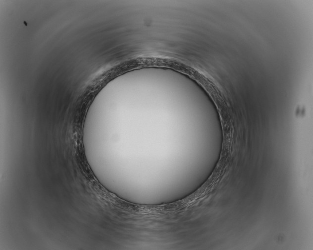 X0000091480870200708161146
