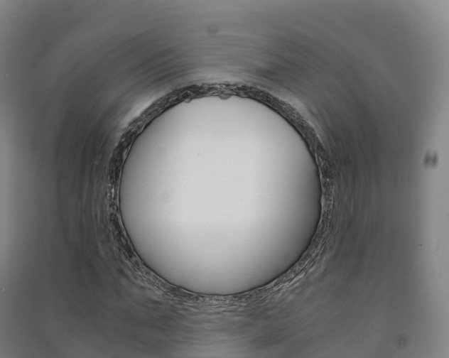 X0000091480871200708161146