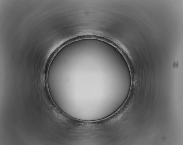 X0000091480877200708161146